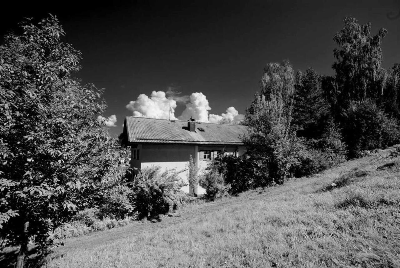 Ferienwohnungen Haus "Wildschuetz" Frauenau Eksteriør billede
